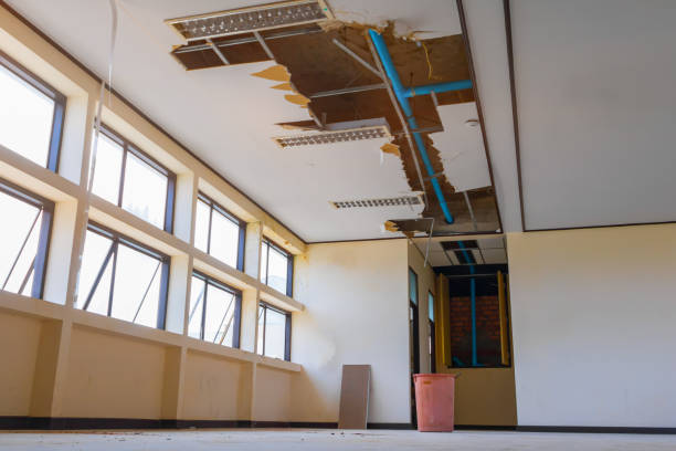 Best Basement water damage restoration  in Carson City, MI