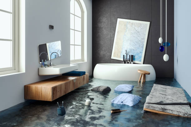 Carson City, MI Water damage restoration Pros