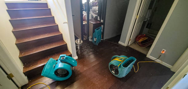Best Ceiling water damage repair  in Carson City, MI