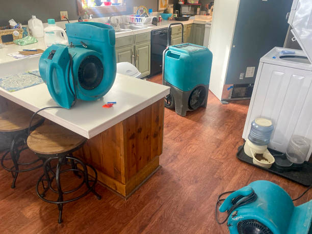 Best Flood damage cleanup  in Carson City, MI