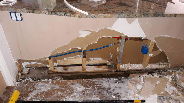 Best Professional water damage repair  in Carson City, MI