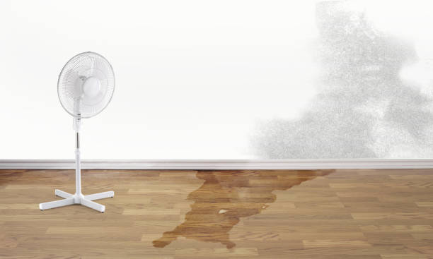 Best Fire Damage Restoration  in Carson City, MI