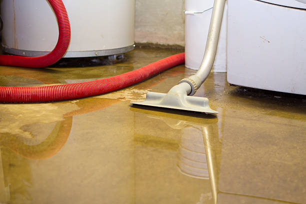 Best Water damage restoration near me  in Carson City, MI