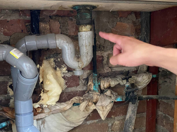 Best Emergency water damage restoration  in Carson City, MI