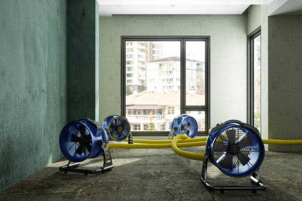 Best Water damage contractors near me  in Carson City, MI